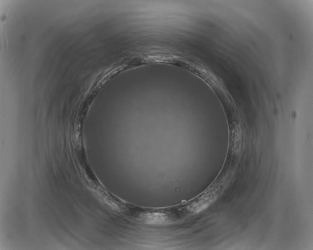 X0000086300361200703301208