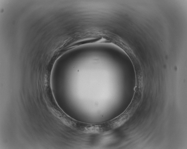 X0000086300362200703301208