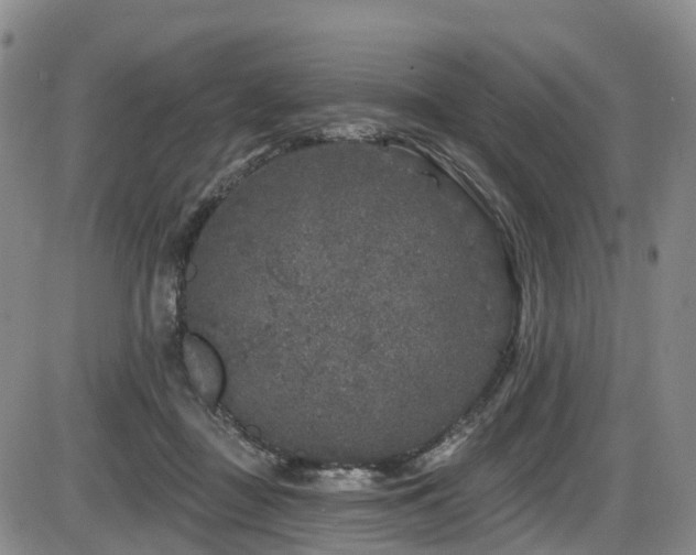 X0000086300363200703301208