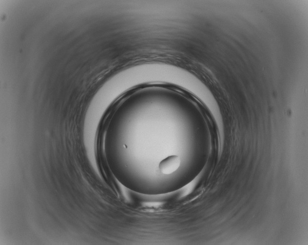 X0000086300364200703301208