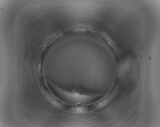 X0000086300365200703301208