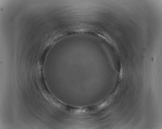 X0000086300366200703301208