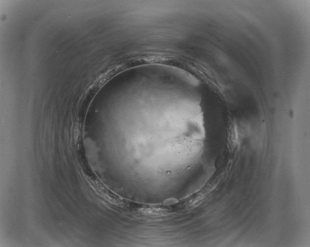 X0000086300367200703301208