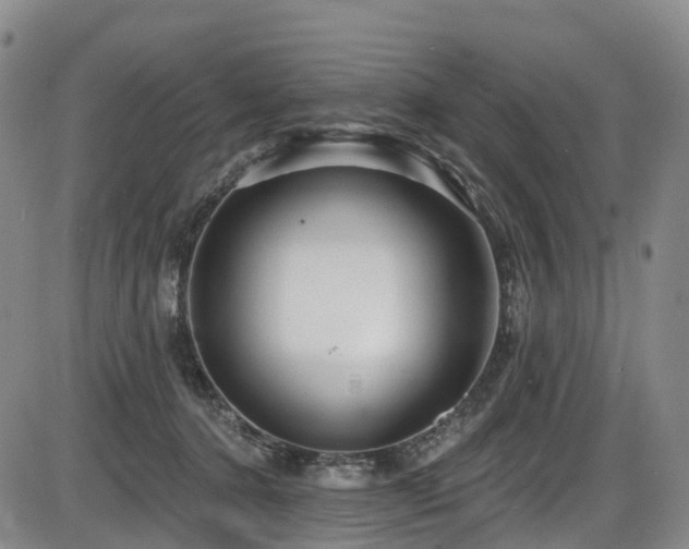 X0000086300368200703301208