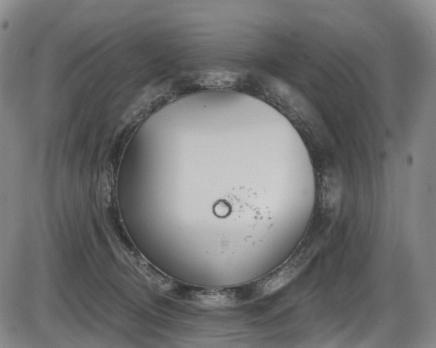 X0000086300370200703301208