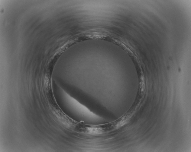 X0000086300371200703301208