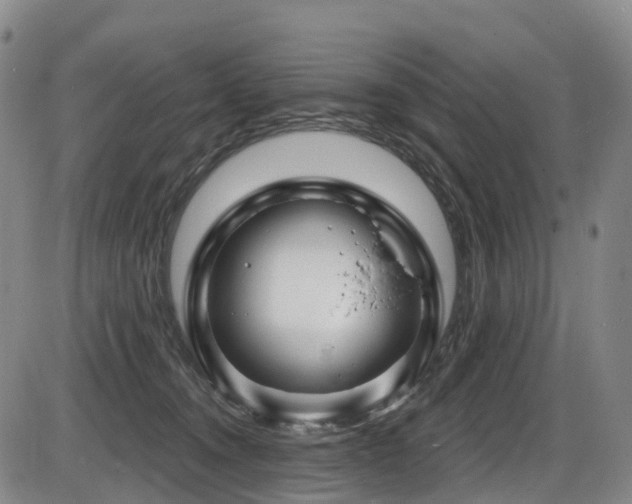 X0000086300372200703301208