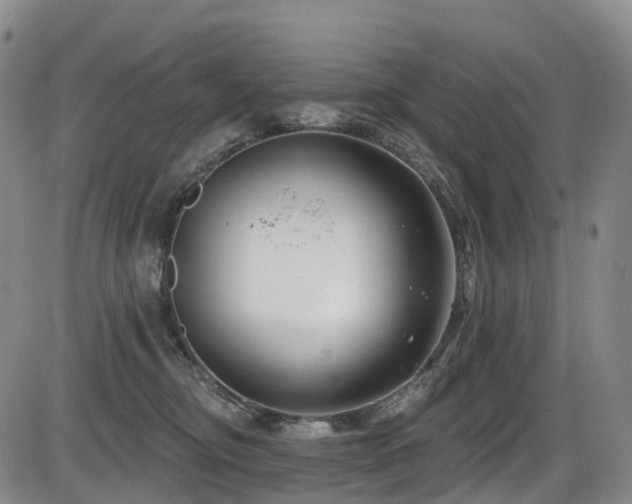 X0000086300374200703301208