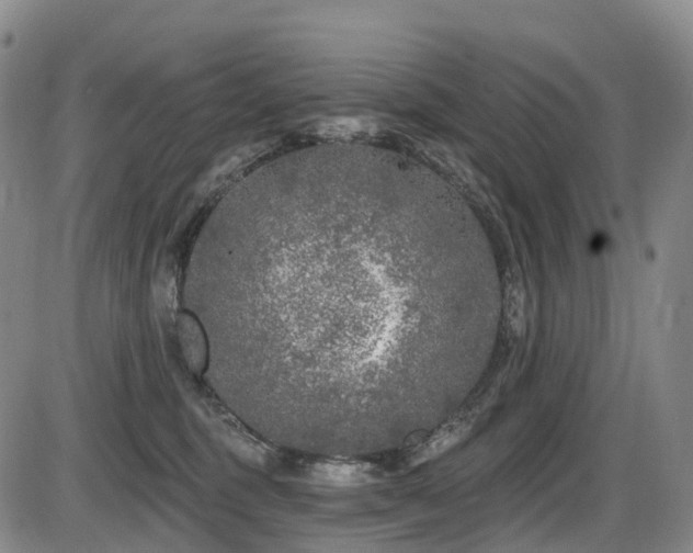 X0000086300375200703301208