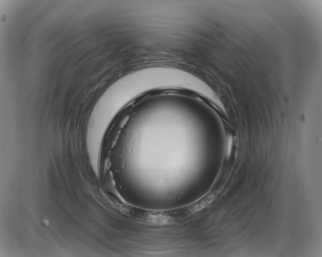 X0000086300376200703301208