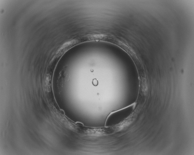 X0000086300378200703301208