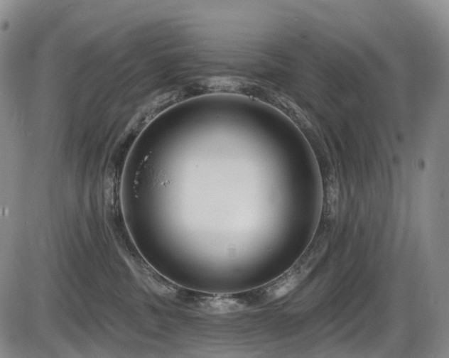 X0000086300379200703301208