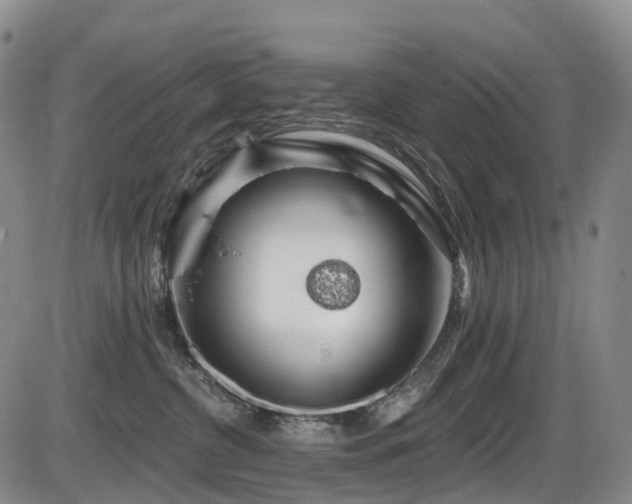 X0000086300380200703301208