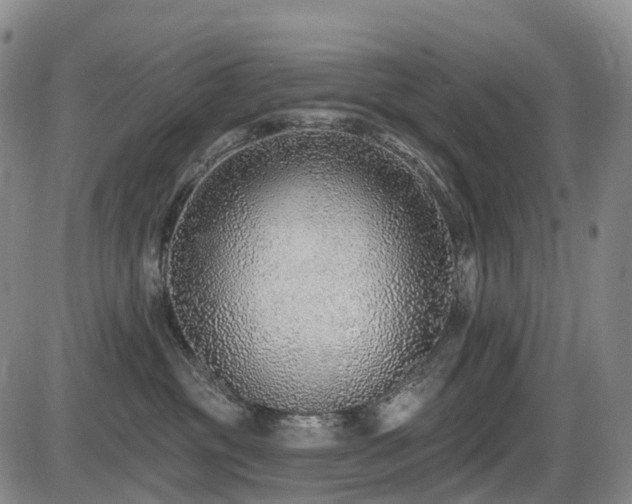 X0000086300381200703301208