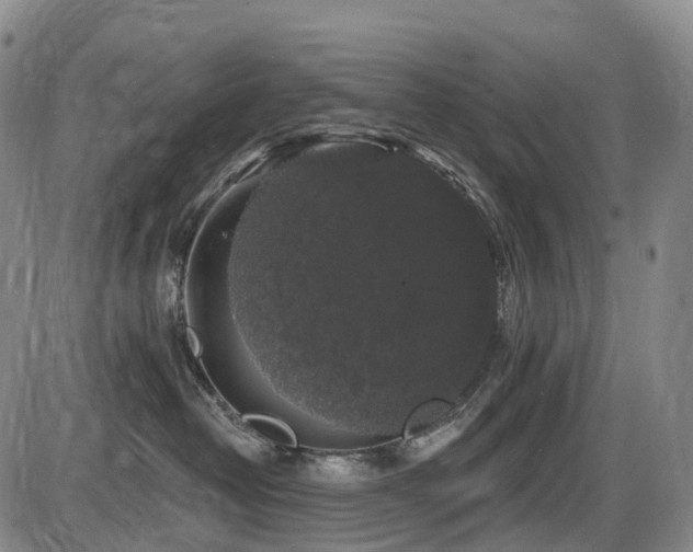 X0000086300382200703301208