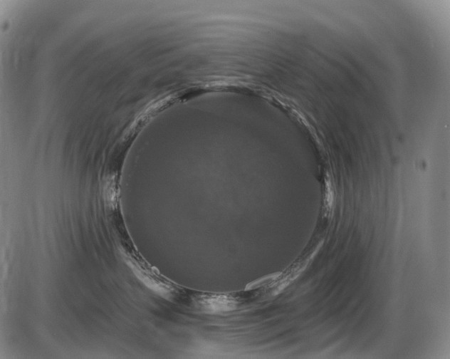 X0000086300383200703301208