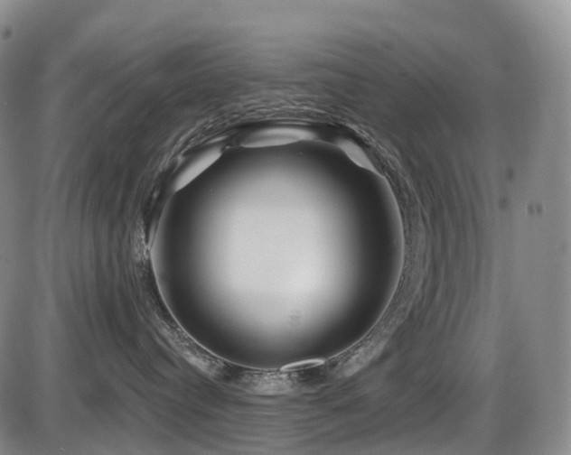 X0000086300384200703301208