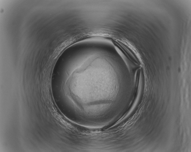 X0000086300385200703301208