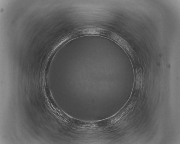 X0000086300386200703301208