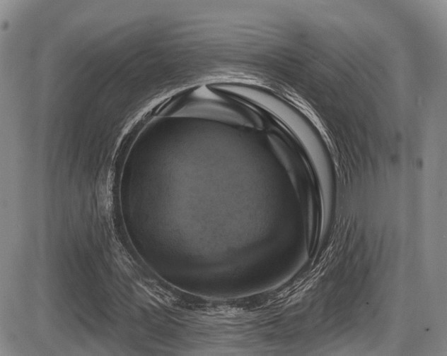 X0000086300387200703301208