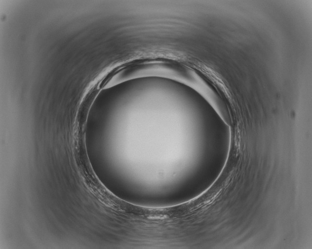 X0000086300388200703301208