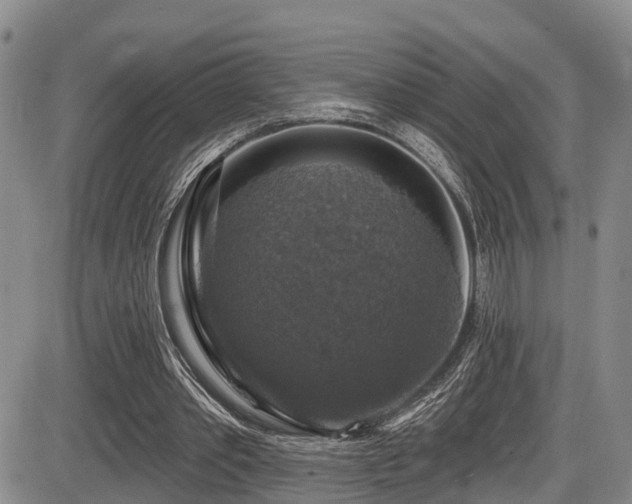 X0000086300389200703301208