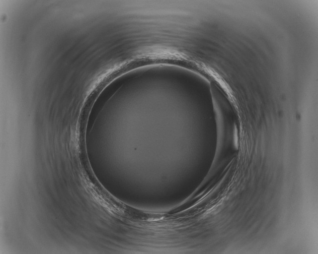 X0000086300391200703301208