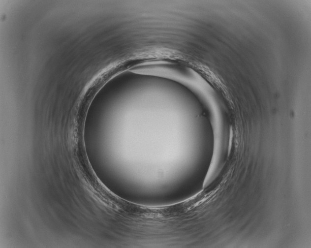 X0000086300392200703301208