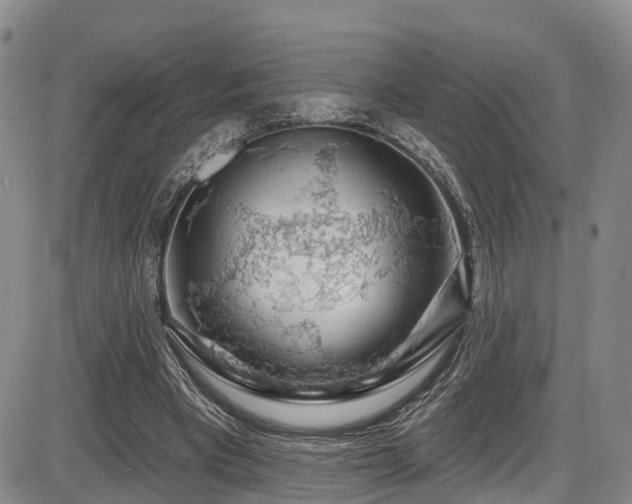 X0000086300393200703301208