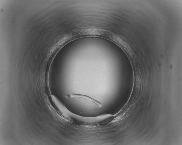 X0000086300394200703301208