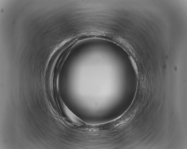 X0000086300395200703301207