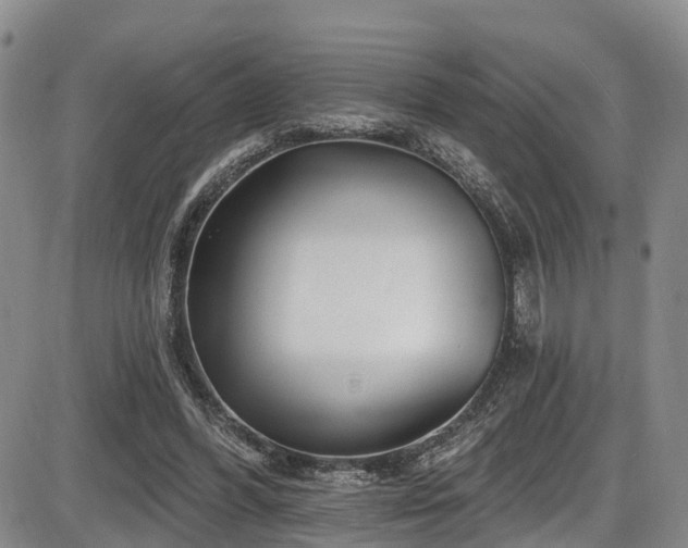 X0000086300396200703301207