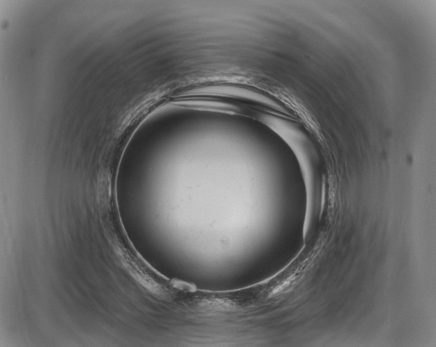 X0000086300397200703301207