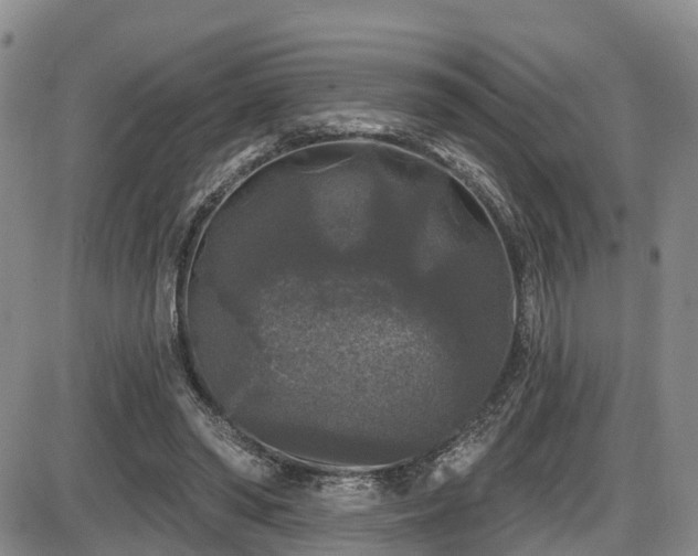 X0000086300398200703301207