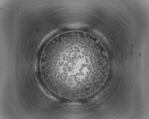 X0000086300400200703301207