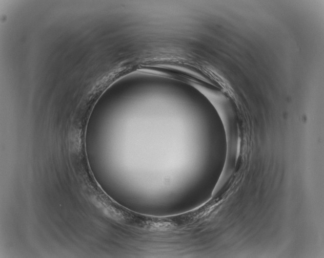 X0000086300401200703301207