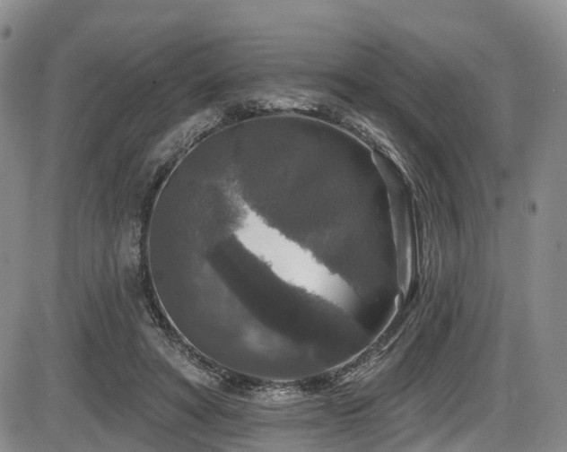 X0000086300402200703301207