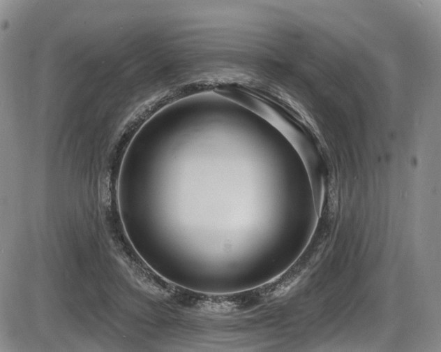 X0000086300403200703301207