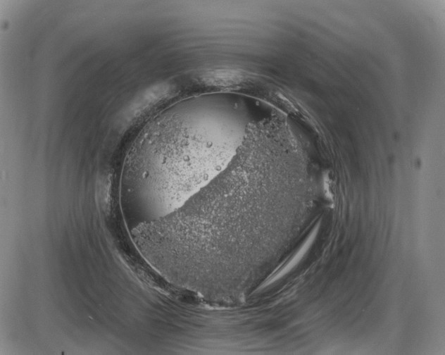 X0000086300404200703301207