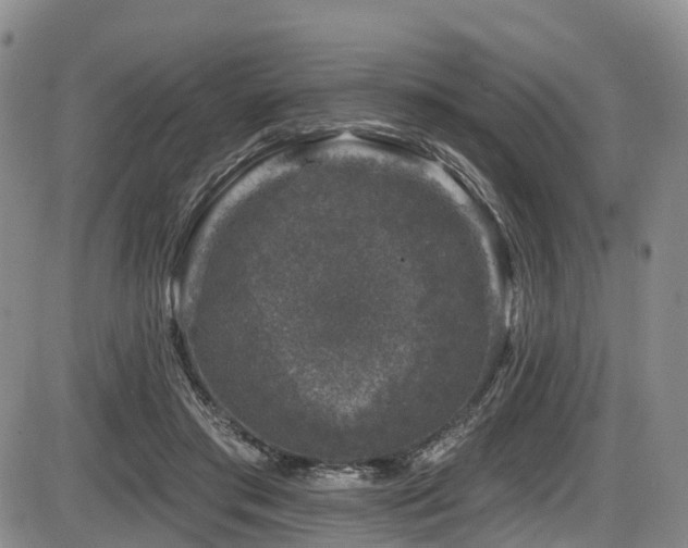 X0000086300405200703301207