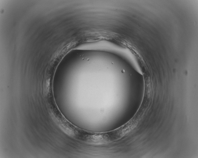 X0000086300406200703301207