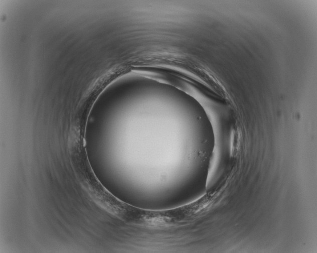 X0000086300407200703301207