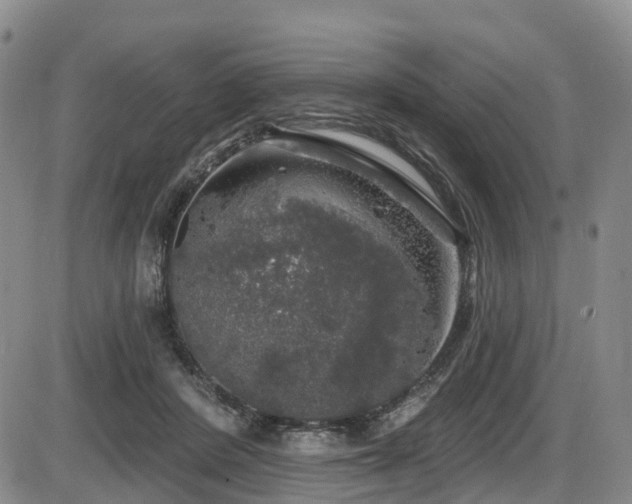 X0000086300408200703301207