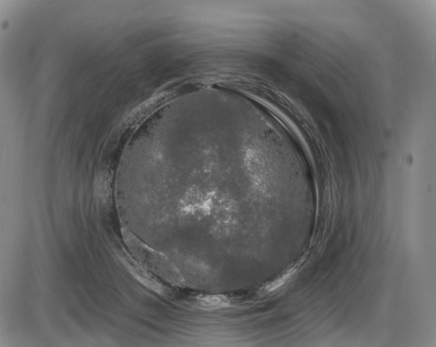 X0000086300409200703301207