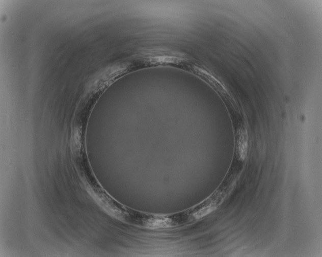 X0000086300410200703301207