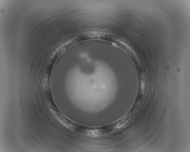 X0000086300411200703301207