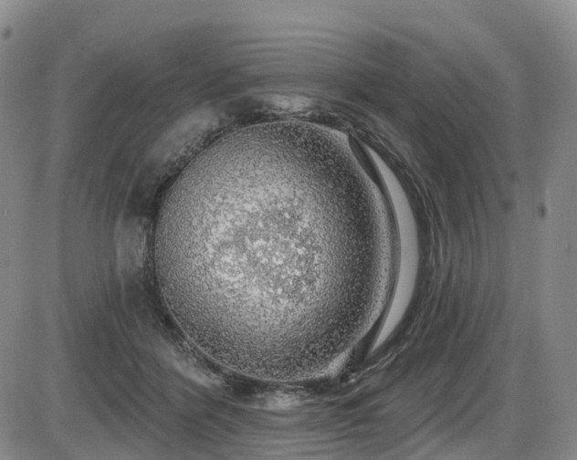 X0000086300412200703301207