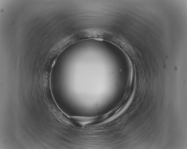 X0000086300413200703301207