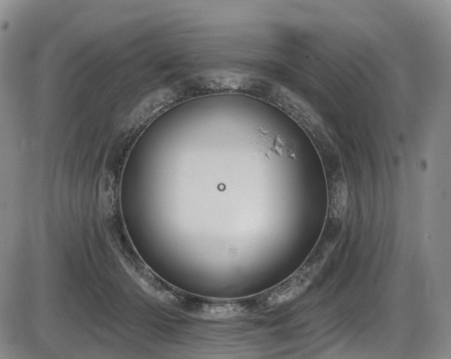 X0000086300414200703301207