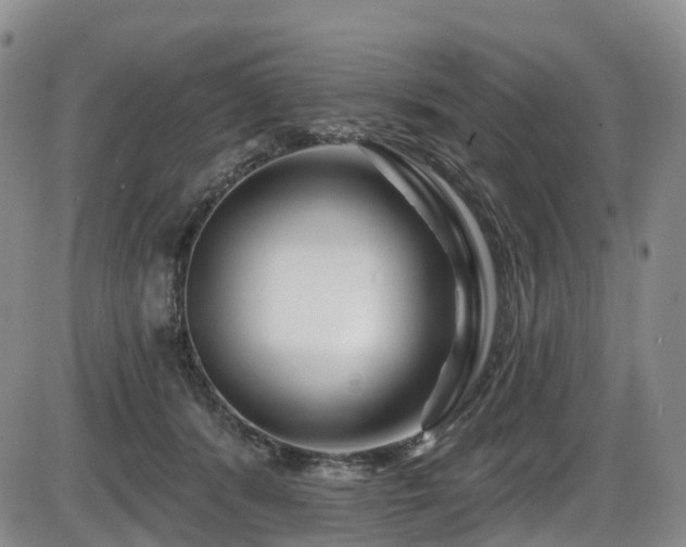 X0000086300416200703301207